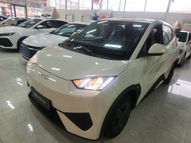 比亚迪 海鸥 2025款 305km 自由版