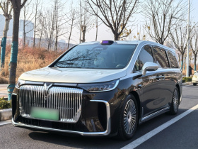 岚图汽车 岚图梦想家 2025款 PHEV 四驱旗舰乾崑版