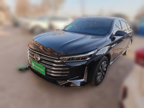 广汽传祺 传祺GA8 2020款 390T 尊贵版