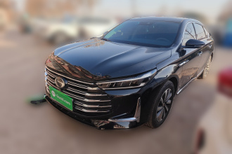 广汽传祺 传祺GA8 2020款 390T 尊贵版