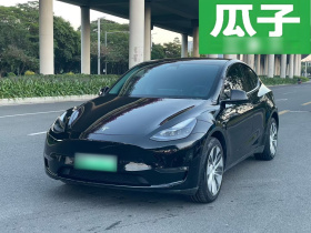 特斯拉 Model Y 2022款 长续航全轮驱动版