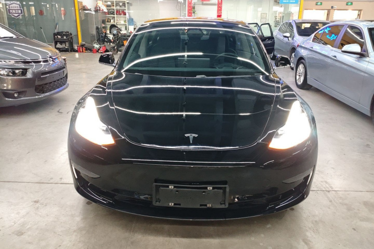 特斯拉 Model 3(进口) 2019款 长续航后驱版车身外观2