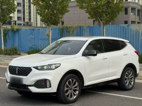 魏牌 VV6 2020款 2.0T 两驱智护+