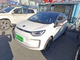 思皓 2022款 花仙子款 四叶草