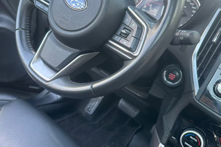 斯巴鲁 森林人 2020款 2.0i 豪华版EyeSight车身外观6007