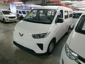 五菱汽车 五菱扬光 2024款 300KM 舒适型客车版 75kW