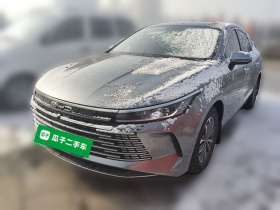 比亚迪 驱逐舰05 2024款 荣耀版 DM-i 55KM 豪华型