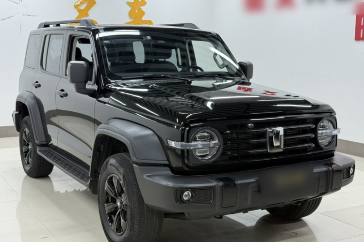 坦克300 2024款 2.0T 征服者车身外观6005