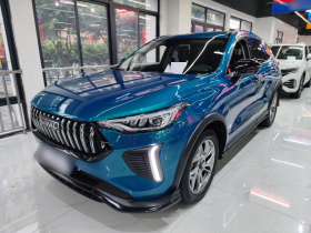 哈弗赤兔 2022款 劲享版 1.5T 紫铜兔