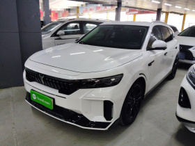 岚图汽车 岚图FREE 2024款 超长续航智驾版