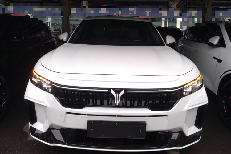 岚图汽车 岚图FREE 2025款 318 318km 后驱环游版车身外观6001