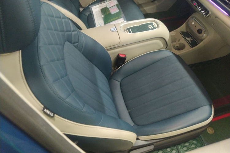 欧拉好猫 2023款 401km标准续航 豪华型 磷酸铁锂局部细节41