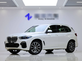 宝马X5(进口) 2019款 xDrive40i M运动套装