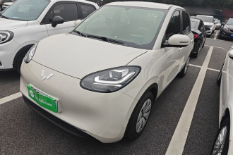 五菱汽车 五菱缤果 2023款 203km 轻享款