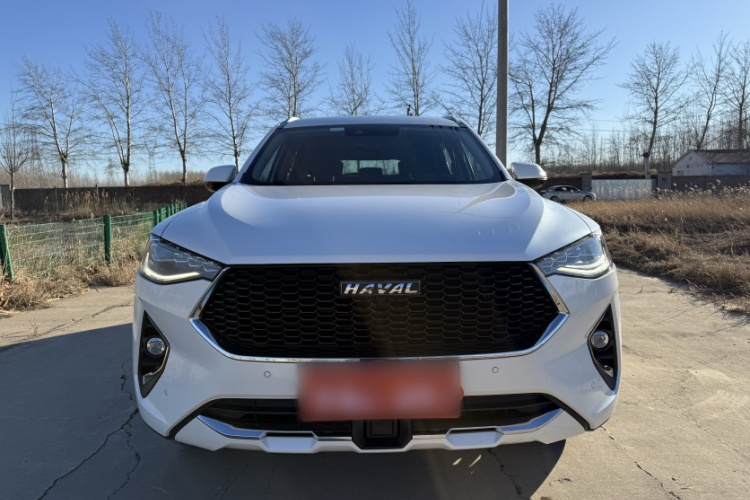 哈弗F7 2019款 2.0T 两驱i范 国V车身外观6005