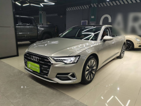奥迪A6L 2019款 45 TFSI 臻选致雅型