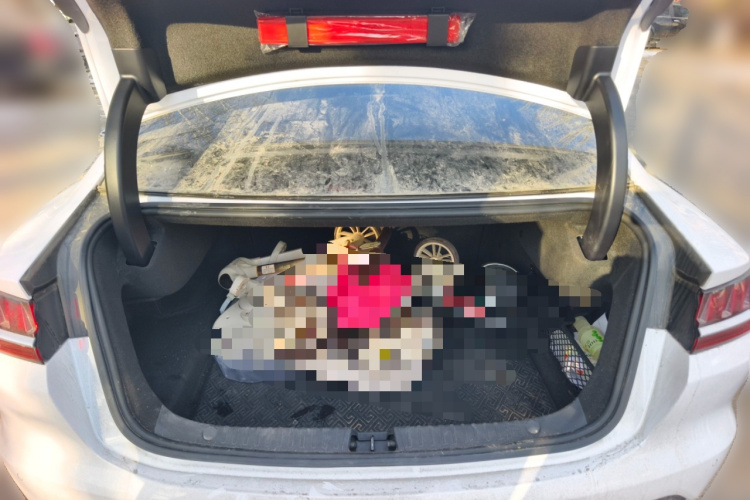 比亚迪 汉 2020款 EV 超长续航版豪华型中控内饰23