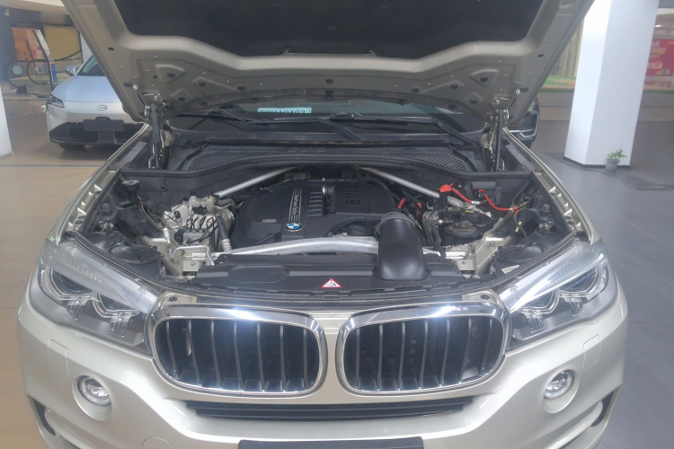 宝马X5(进口) 2014款 xDrive35i 豪华型机舱底盘24