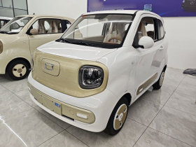 奔腾小马 2026款 222km 炫彩马