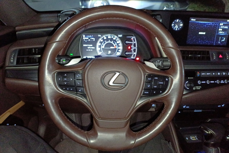 雷克萨斯ES 2020款 200 卓越版中控内饰13