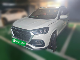 捷途X95 2020款 1.6T DCT征服Pro版 6座