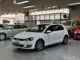 大众 高尔夫 2016款 230TSI 自动豪华型