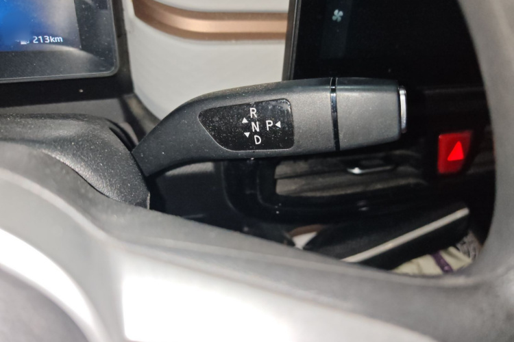 思皓 2022款 花仙子款 四叶草局部细节18