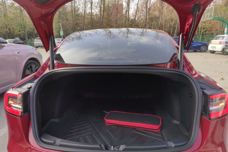 特斯拉 Model 3(进口) 2019款 标准续航后驱升级版(60度)局部细节23