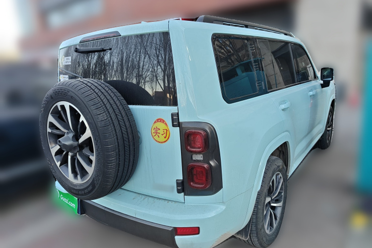 哈弗H9 2024款 2.0T 汽油四驱极境版车身外观7