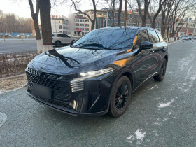 启辰大V 2023款 260T 黑马版 Pro