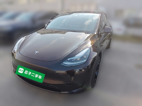 特斯拉 Model Y 2024款 后轮驱动版