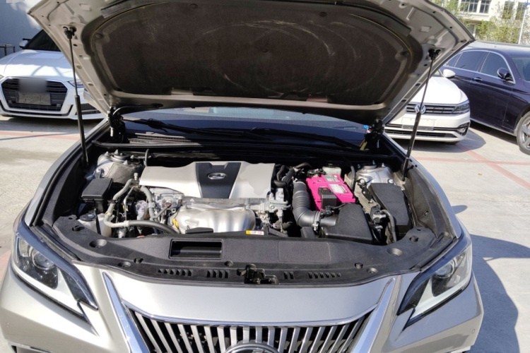 雷克萨斯ES 2018款 200 豪华版 国V机舱底盘24