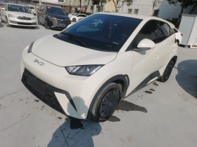 比亚迪 海鸥 2025款 305km 活力版