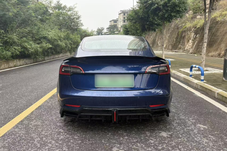 特斯拉 Model 3 2021款 标准续航后驱升级版 3D6车身外观6009
