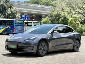 特斯拉 Model 3 2019款 标准续航后驱升级版