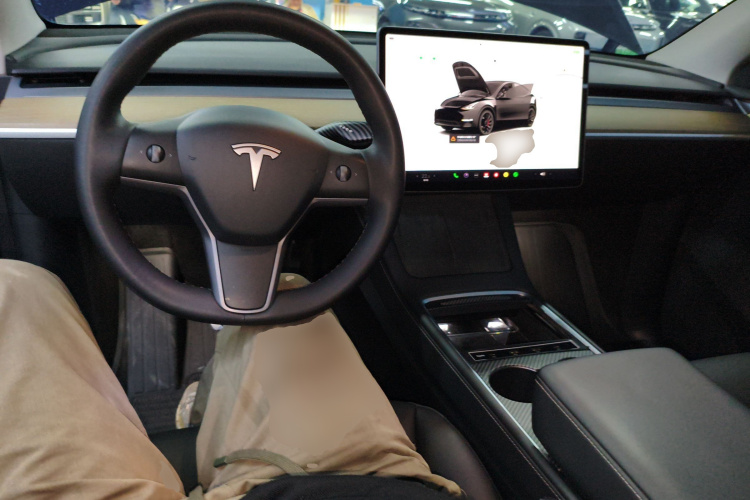 特斯拉 Model Y 2022款 Performance高性能全轮驱动版中控内饰12