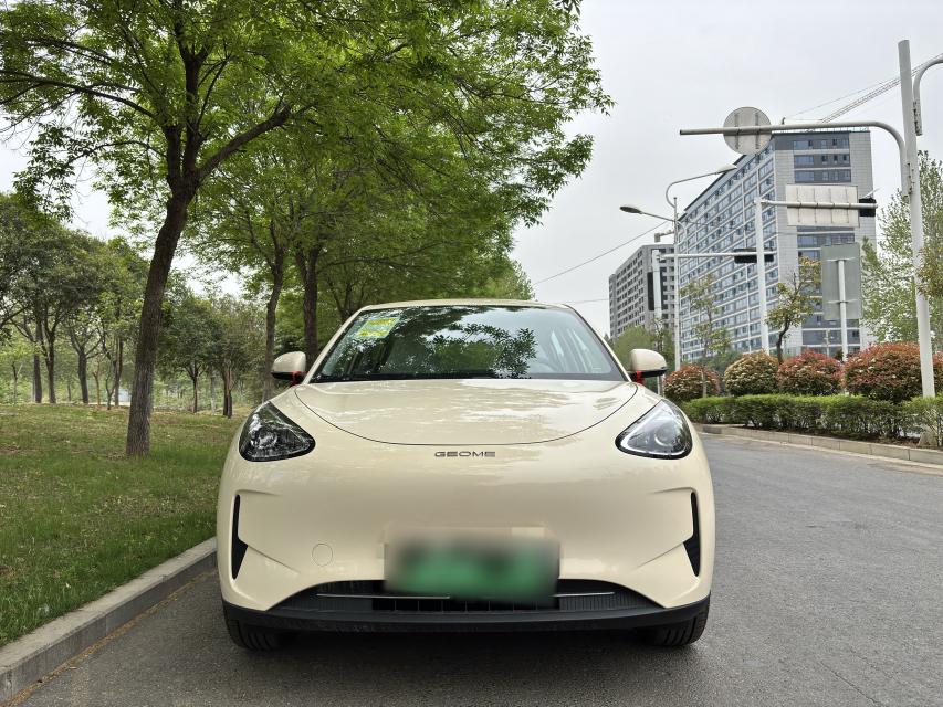 吉利汽车 星愿 2025款 410km 自由版