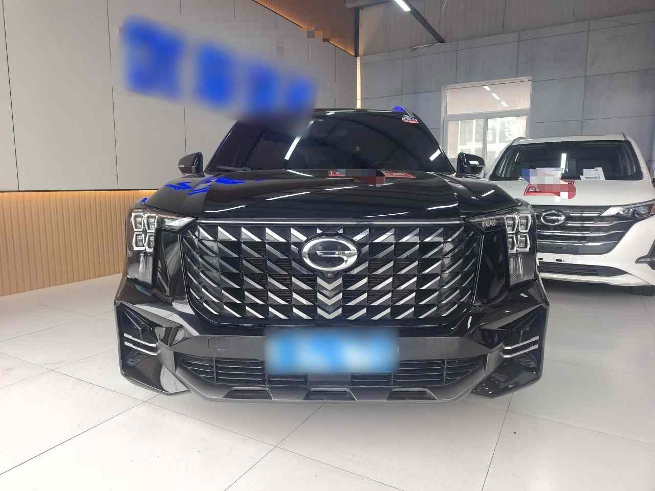 广汽传祺 传祺GS8 2022款 领航系列 2.0TGDI 四驱豪华智联版（七座）(2)