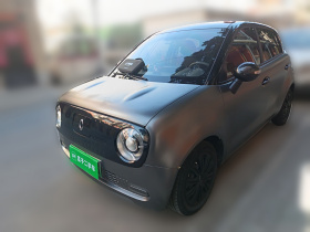 欧拉黑猫 2021款 301km 基础型