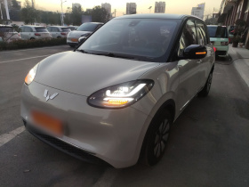 五菱汽车 五菱缤果 2023款 203km 轻享款