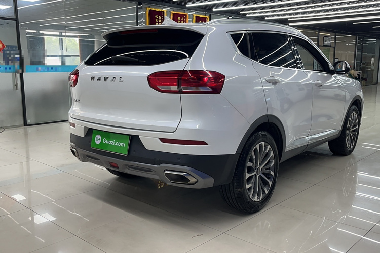 哈弗H6 2020款 1.5GDIT 自动铂金冠军版车身外观6004