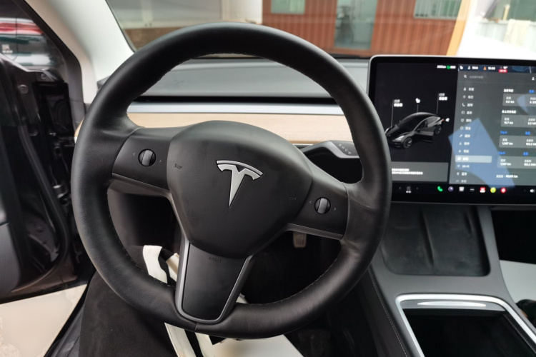 特斯拉 Model 3 2021款 标准续航后驱升级版局部细节13