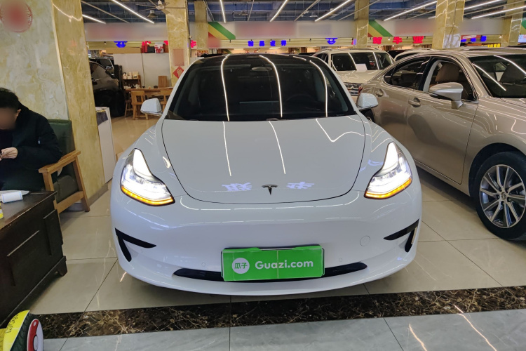 特斯拉 Model 3(进口) 2019款 标准续航后驱升级版(60度)车身外观2