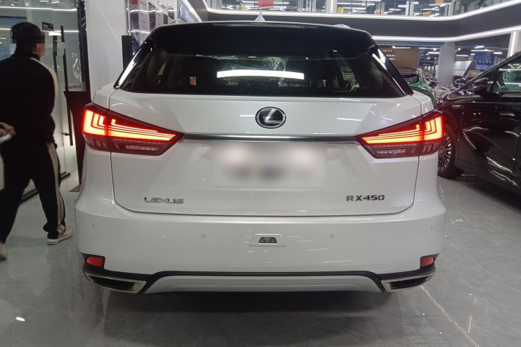 雷克萨斯RX 2020款 改款 300 两驱舒适版车身外观6