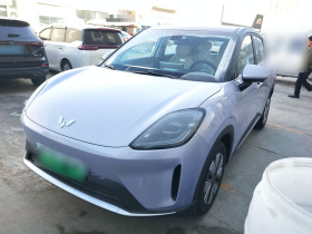 五菱汽车 缤果S 2025款 325km 尊享款