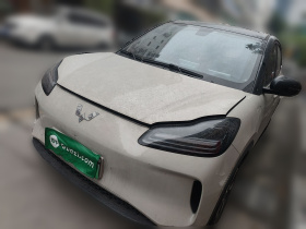 五菱汽车 五菱缤果PLUS 2024款 330km 五座版