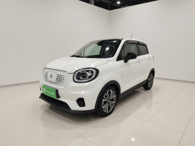 零跑汽车 零跑T03 2020款 400豪华版