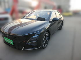 五菱汽车 五菱星光 2024款 共创版 150 领航型