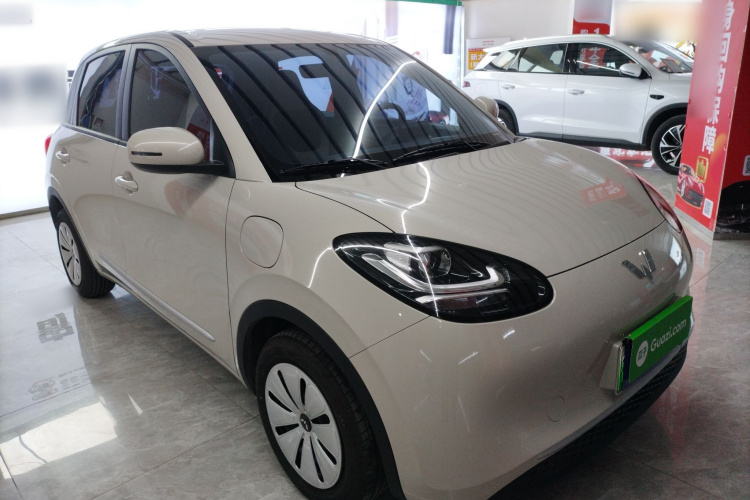 五菱汽车 五菱缤果 2024款 203km 轻享款车身外观6002