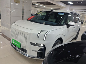 极氪009 2024款 六座行政版四驱 108kWh